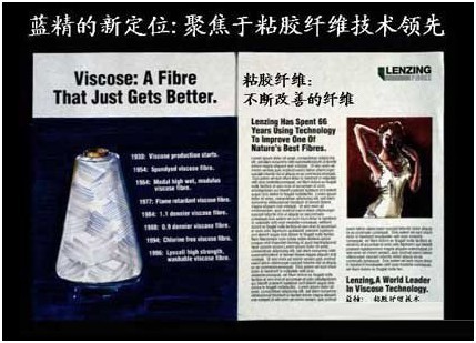 蓝精公司 蓝精公司